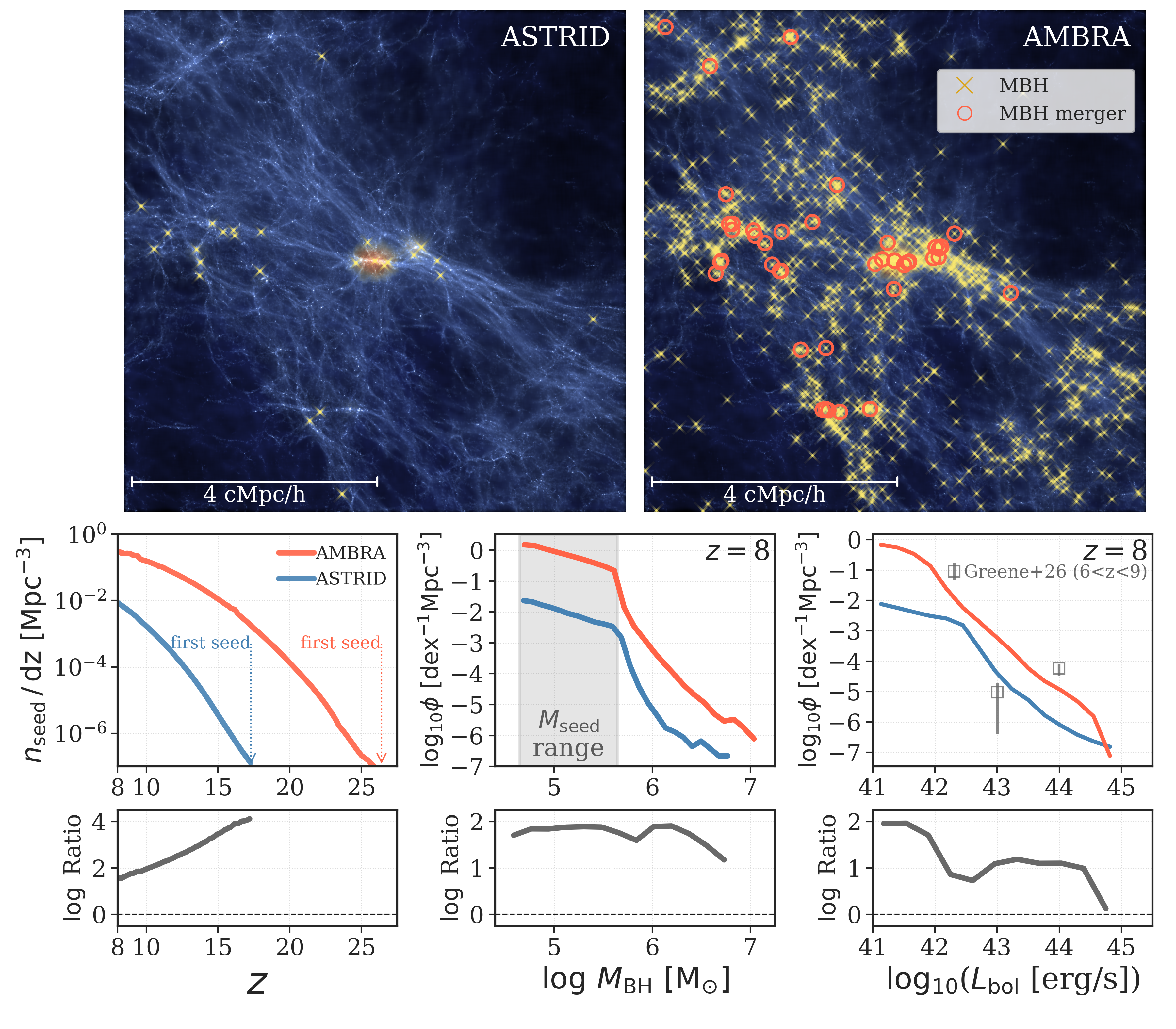 Comparison of AMBRA and ASTRID black hole populations